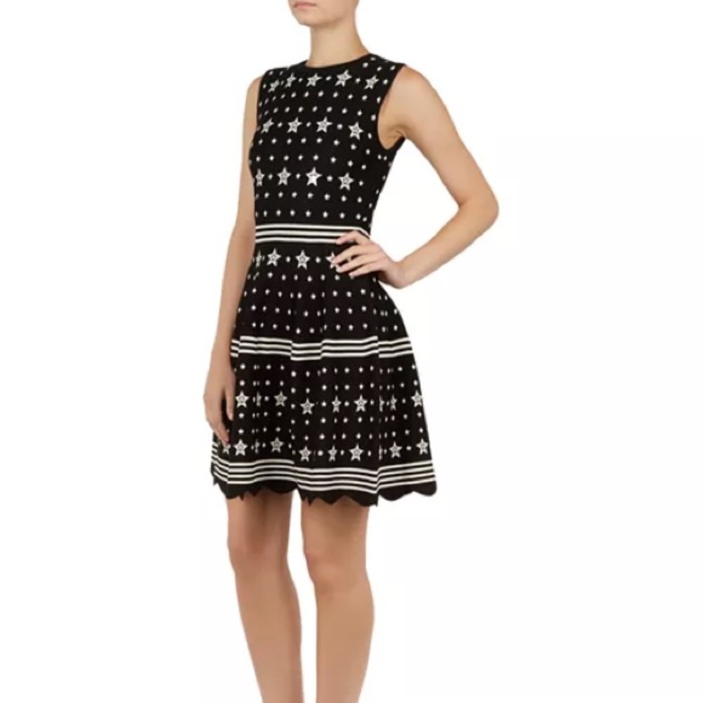 Ted Baker London Mariae Star Dress Size 2 US 6 Jacquard Knit
